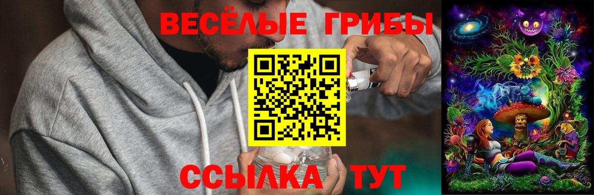 Псилоцибиновые грибы GOLDEN TEACHER  где можно купить наркотик  Бутурлиновка  Вход с VPN 